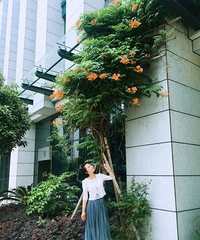 【晒美裙】+夏天,在寻找美裙中美美的过