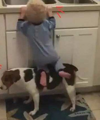 С����Ҫ����ȥ�����߲��� ������������ �⹷��̫ů����