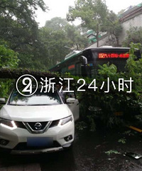 突发!清晨杭州西湖边有树倒下来了