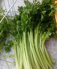 辣妈手工水饺