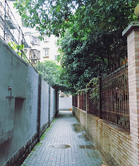 【随手拍】翻翻手机相册 晒晒杭城街头的风景!