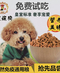 ��������Գ�