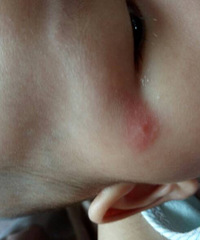 ��������һ���