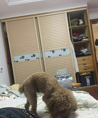 Ѱ����ʾ������ǧԪ