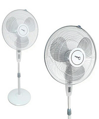 ���ĵ����