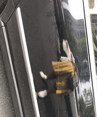 丧心病狂!好好的车停在小区里被划了