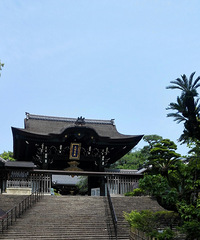 >关西行(京都、奈良,大阪)