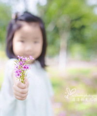 夏日