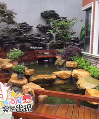 "承接专业鱼池过滤、净化鱼池、假山、水景、花园设计施工。"