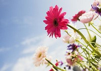 哪些美白祛斑效果好?华大夫浅谈美白祛斑法