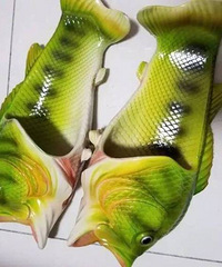 ��������Щ�¶��� ������Ь