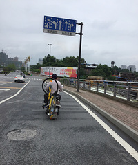 路上看到这一幕 共享单车变私家单车?
