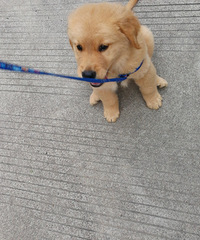 ���Ӻ��񳤴��˺ö�