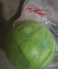 [��ʳ]��������ֻ���ϳɾ���