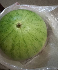 [��ʳ]��������ֻ���ϳɾ���