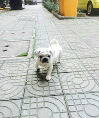 Ѱ�ҹ�����Ѱ����ʾ