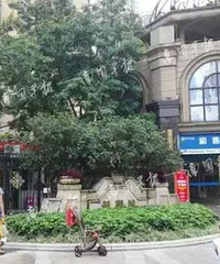 13岁少女20楼跳下 出事前被唠叨了几句