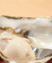 海鲜还能不能吃了?浙江海域发现有毒赤潮