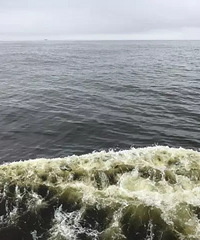 海鲜还能不能吃了?浙江海域发现有毒赤潮