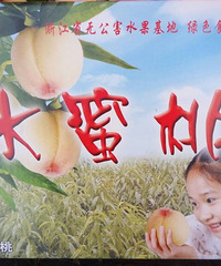 纯天然无公害的嘉兴凤桥水蜜桃上市啦