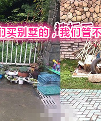 给幼儿园儿子弄的,啥都不说就强拆了?