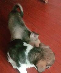 ��������