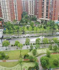 暴雨天杭州全城告急 你那边情况怎么样?
