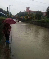 昨天一场大暴雨桥洞成河 车子被淹 车主惊魂逃生