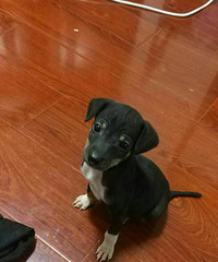 С���������