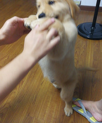 �����°���13����