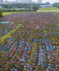 ���ݣ���������������������Ұ ���ơ�����ڡ�