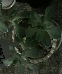 �ס������Ҫ��ô�޼��ء���Ҫ��ô�����Ÿ��ÿ���