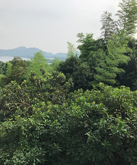 九张图#步数#美景