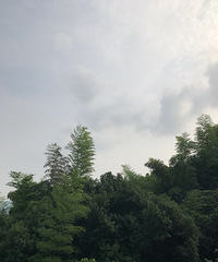 九张图#步数#美景