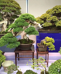 6.27【九张图】打卡+美景