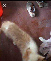 ������������