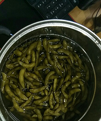 �����ӹ����������������ɰ���