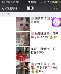 Acukeè��VX:2668854254