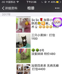 Acukeè��VX:2668854254