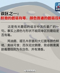 11人食野生菌中毒4人死亡 野生菌菇别乱吃!