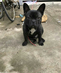 ������ţ���ۼ۸���������ϵ�绰��13857656955