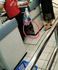 ���ᣡһ�׶����������蹤���ĳ�������̨������˯