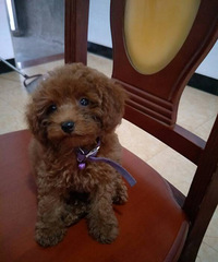 ̰���С�һ�