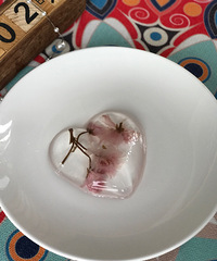被白凉粉长草了