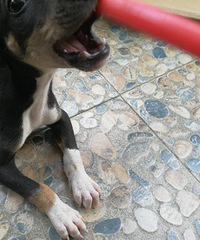 �󴮹�������