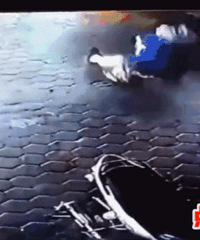 1��2����������������Ȧ���ڴ�����޳�ʦ��