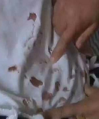 ����Ů����������ͬѧ���裬�����ѹ��·������գ�