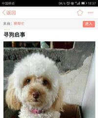 �������æ