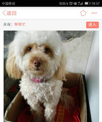 �������æ