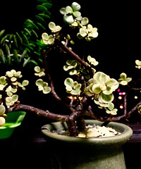 ����֮��